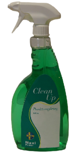 Clean up punktrengöring