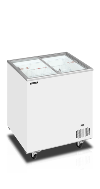 Tefcold glassfrys IC201SC